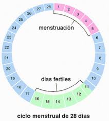 calendario de ovulacion y embarazo