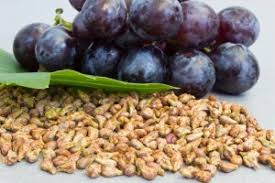 extracto de semilla de uva para quedar embarazada